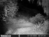 HUNT0013.JPG
