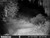 HUNT0014.JPG