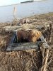 20170121_093002.jpg