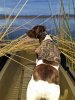 20170120_063036.jpg
