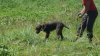 20170617_104400.jpg