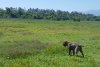 20170617_122906.jpg