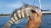 20170708_084822.jpg
