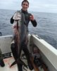 Bluefin 4.jpg