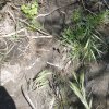 IMG_20180528_135212_969.jpg