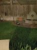 20181006_053919.jpg