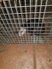20181007_032743.jpg