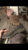 5A835AD3-356D-4AD7-A370-64B7A5F3CACE.png