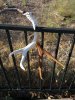 IMG_20130521_180220.jpg
