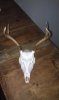 IMG_20130527_115803.JPG