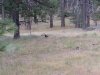 20130720_185835.jpg