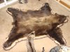 First Bear.JPG