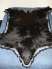 2008 Bear Rug 002.jpg
