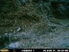 MDGC0033.JPG