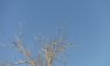 DSCF0754.JPG