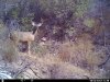 HUNT0242.JPG