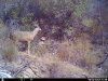 HUNT0241.JPG