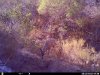 HUNT0038.JPG