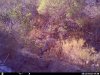 HUNT0039.JPG