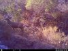 HUNT0040.JPG