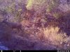 HUNT0041.JPG