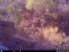 HUNT0042.JPG