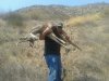 JAIME..ANIMAL!.jpg