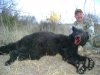 GREGS 2012 BEAR 008.jpg