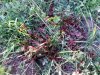 20130920_170502.jpg