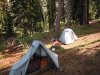 Bear hunt 2012 007.JPG