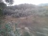 from the stand.jpg