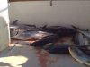 2013-09-28_15-52-57_447.jpg