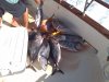 2013-09-28_16-28-45_254.jpg