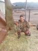 Deer 2013 (1).jpg_thumb.png
