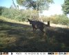 HUNT0373.JPG