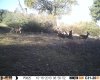 HUNT0825.JPG