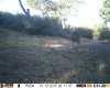 HUNT0094.JPG