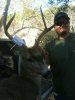 billys buck 2013.jpg