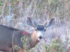 IMG_1405.JPG