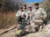 D11 Archery 2013 025.JPG