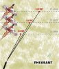 lead_pheasant.jpg