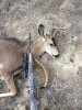 first buck.JPG