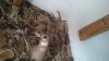 IMG_20131109_082953_178.jpg
