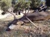 2013-11-17_13-06-25_300.jpg
