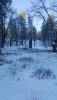 20181226_072506.jpg