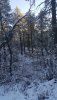 20181226_072510.jpg