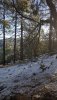 20181226_082109.jpg