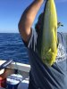 IMG_0744.JPG