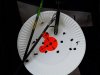 20190120_123139.jpg