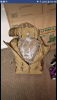 Screenshot_20190218-093404.png